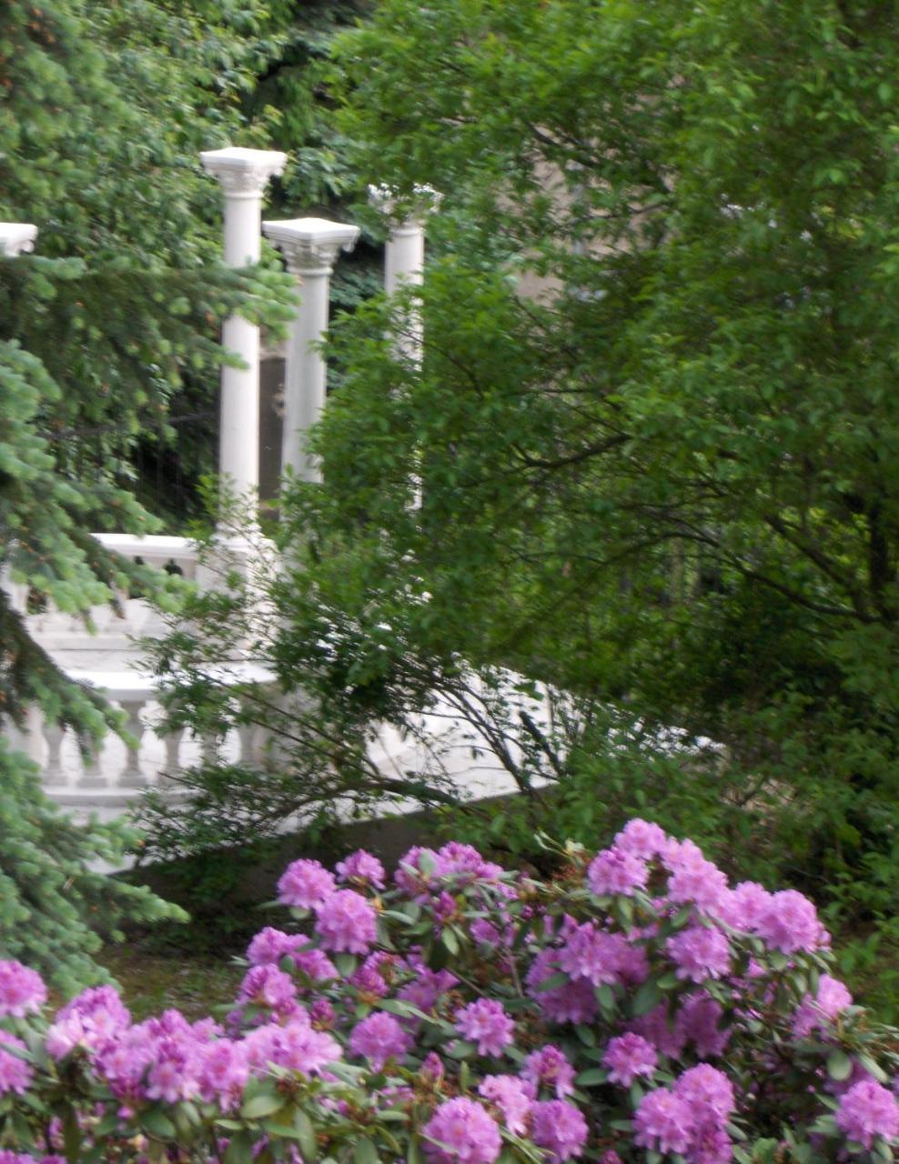 Romantic Chateau Krásná Lípa Esterno foto